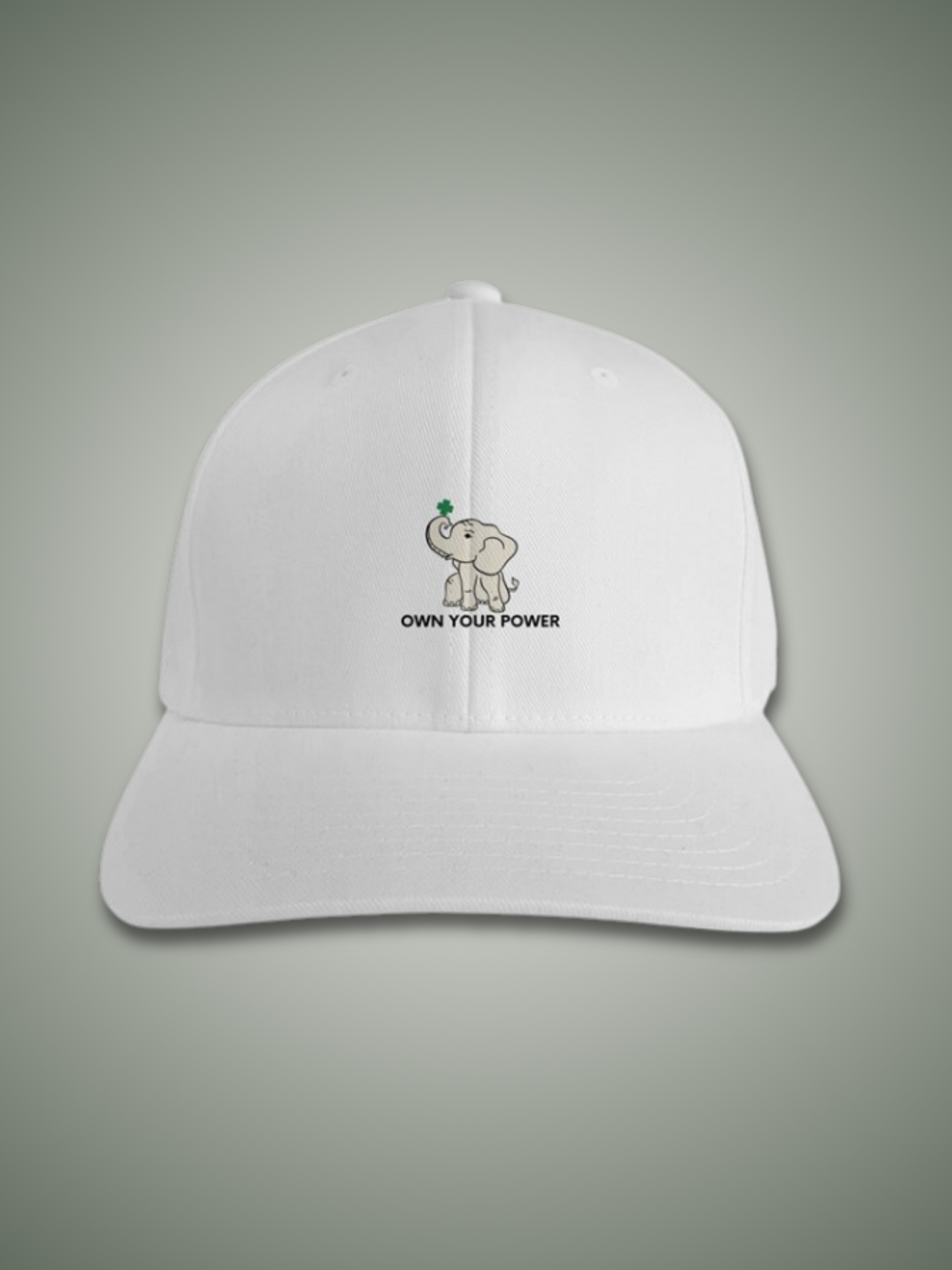 fitted baseball cap embroidered own your power elephant logo Can2 Life