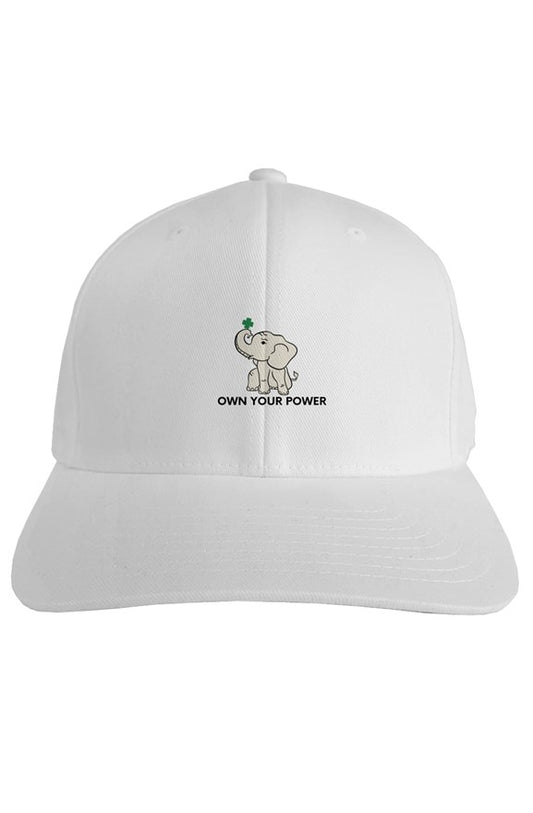 fitted baseball cap embroidered own your power elephant logo Can2 Life